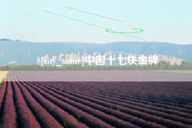 珠海中国十七块金牌