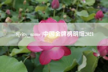 珠海中国金牌榜明细2021