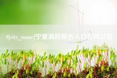 珠海宁夏消防报名入口官网公告