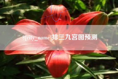 珠海排三九宫图预测