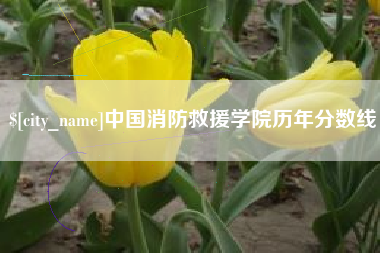 珠海中国消防救援学院历年分数线