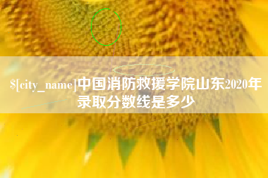 珠海中国消防救援学院山东2020年录取分数线是多少