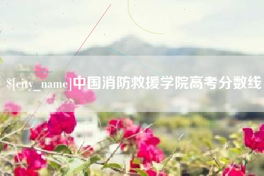 珠海中国消防救援学院高考分数线