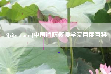 珠海中国消防救援学院百度百科