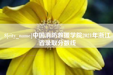 珠海中国消防救援学院2021年浙江省录取分数线