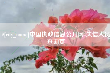 珠海中国执政信息公开网-失信人员查询页
