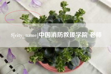 珠海中国消防救援学院 老师