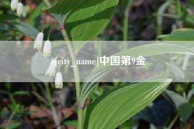 珠海中国第9金