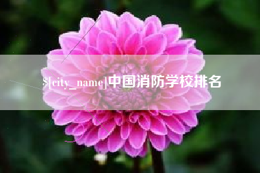 珠海中国消防学校排名