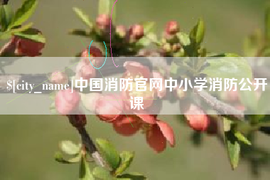 珠海中国消防官网中小学消防公开课