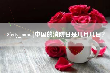 珠海中国的消防日是几月几日？