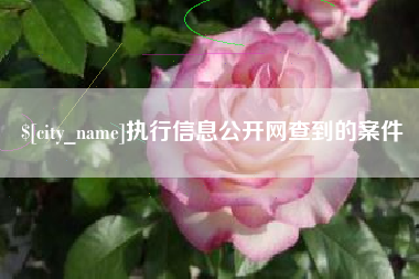 珠海执行信息公开网查到的案件