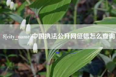 珠海中国执法公开网征信怎么查询