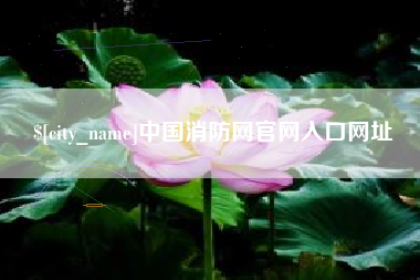 珠海中国消防网官网入口网址
