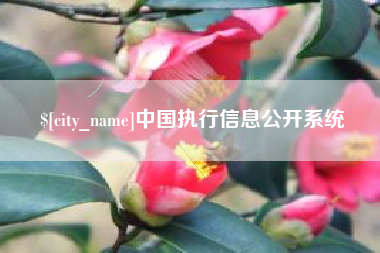 珠海中国执行信息公开系统