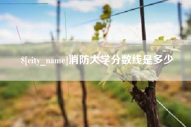 珠海消防大学分数线是多少
