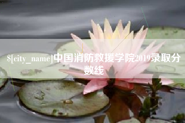 珠海中国消防救援学院2019录取分数线