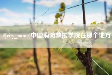 珠海中国消防救援学院在那个地方