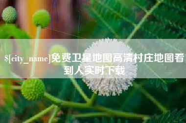 珠海免费卫星地图高清村庄地图看到人实时下载