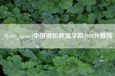 珠海中国消防救援学院2018分数线
