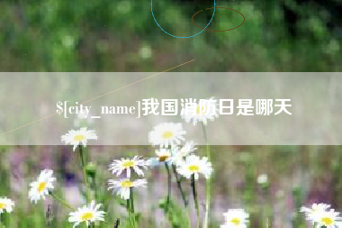 珠海我国消防日是哪天