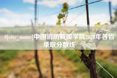 珠海中国消防救援学院2020年各省录取分数线