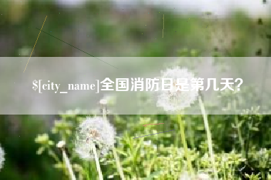 珠海全国消防日是第几天？