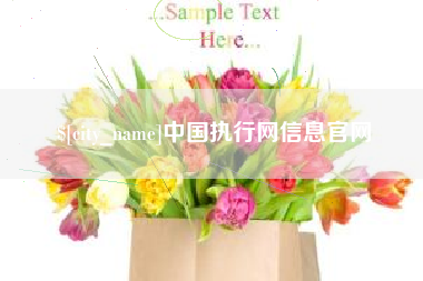 珠海中国执行网信息官网