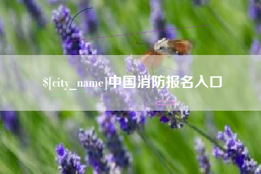 珠海中国消防报名入口