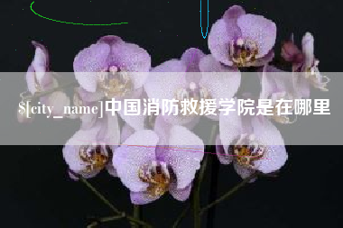 珠海中国消防救援学院是在哪里