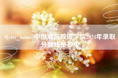 珠海中国消防救援学院2024年录取分数线是多少