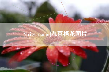 珠海九宫格龙图片