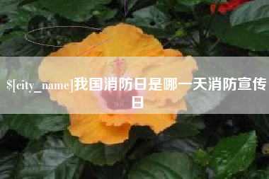 珠海我国消防日是哪一天消防宣传日