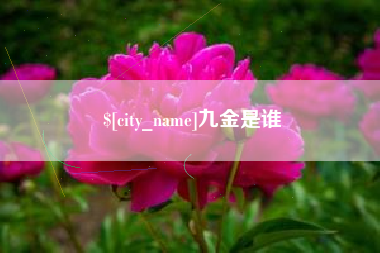 珠海九金是谁