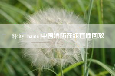 珠海中国消防在线直播回放