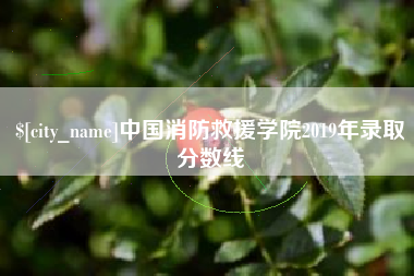 珠海中国消防救援学院2019年录取分数线