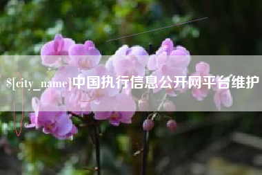 珠海中国执行信息公开网平台维护