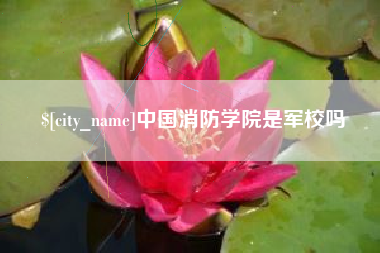 珠海中国消防学院是军校吗