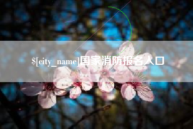珠海国家消防报名入口