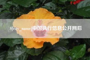 珠海中国执行信息公开网后