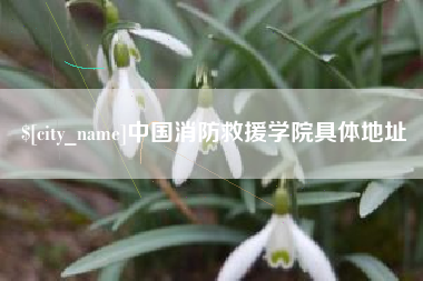 珠海中国消防救援学院具体地址