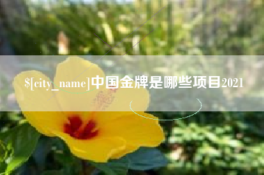 珠海中国金牌是哪些项目2021