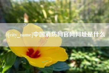 珠海中国消防网官网网址是什么