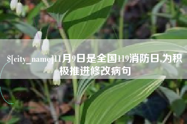 珠海11月9日是全国119消防日,为积极推进修改病句
