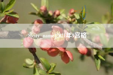 珠海2021年9宫格