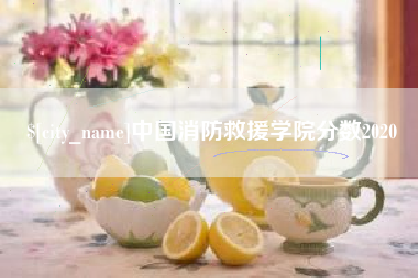 珠海中国消防救援学院分数2020