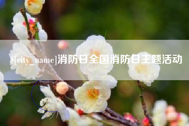珠海消防日全国消防日主题活动