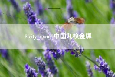 珠海中国九枚金牌