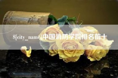 珠海中国消防学院排名前十