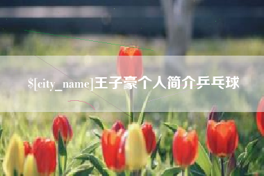 珠海王子豪个人简介乒乓球